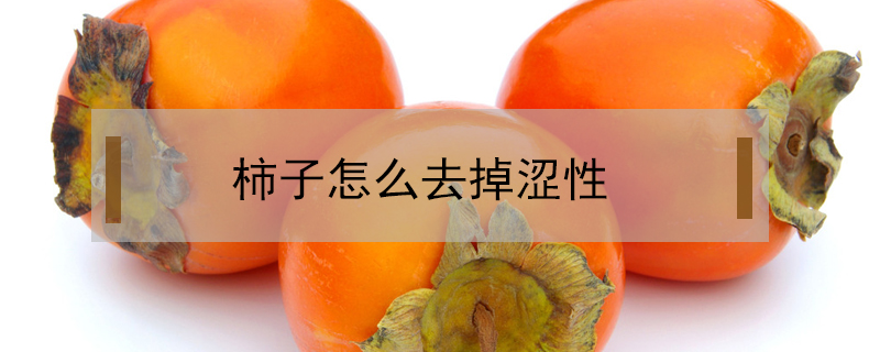 柿子怎么去掉澀性