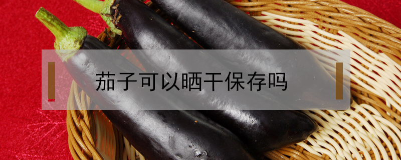茄子可以曬干保存嗎