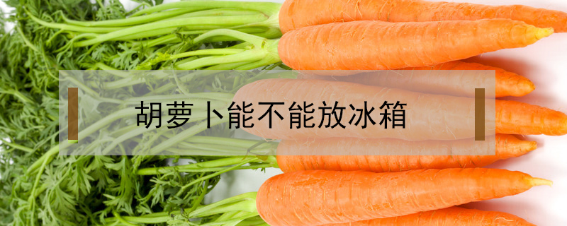 胡蘿卜能不能放冰箱