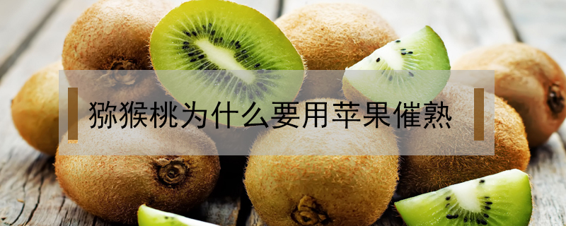 獼猴桃為什么要用蘋果催熟