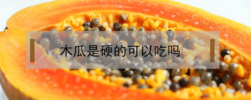 木瓜是硬的可以吃嗎