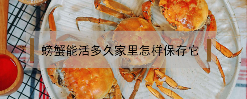 螃蟹能活多久家里怎樣保存它