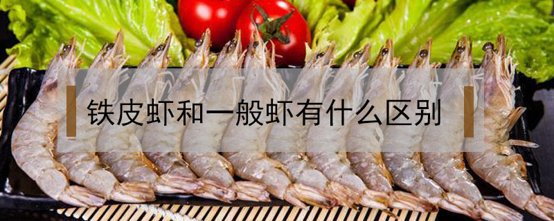 鐵皮蝦和一般蝦有什么區別