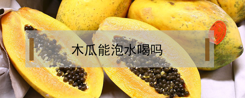 木瓜能泡水喝嗎?