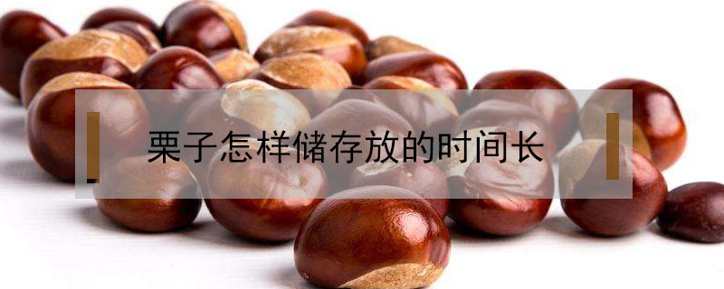 栗子怎樣儲存放的時間長