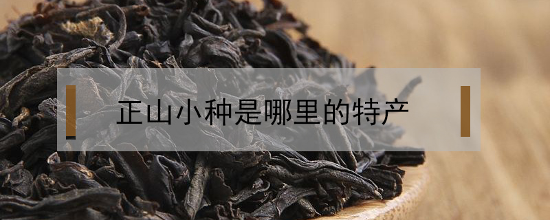 正山小種是哪里的特產
