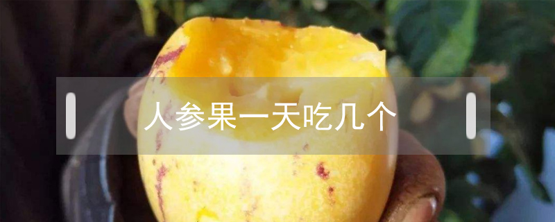 人參果一天吃幾個