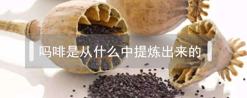 嗎啡是從什么中提煉出來的