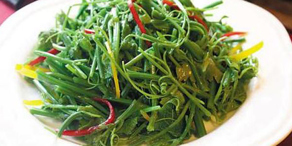 云龍菜是什么菜