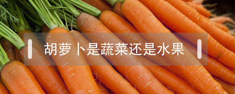 胡蘿卜是蔬菜還是水果