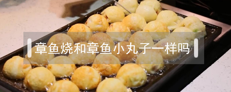 章魚燒和章魚小丸子一樣嗎