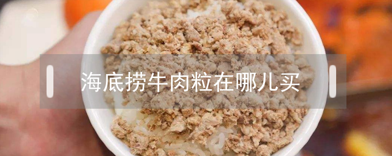 海底撈牛肉粒在哪兒買