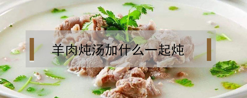 羊肉燉湯加什么一起燉