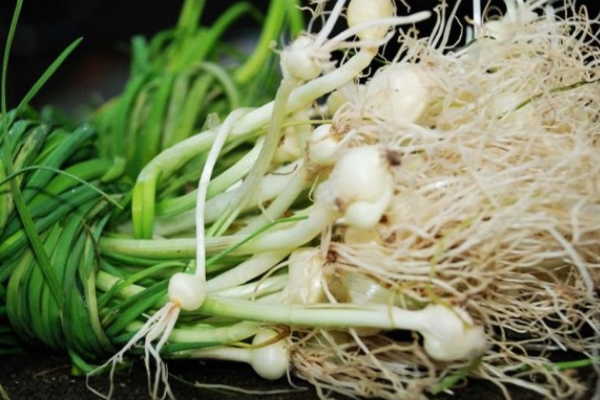 東北十二種野菜