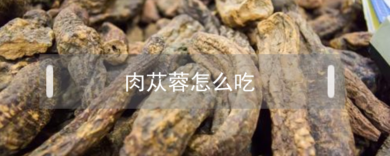 肉蓯蓉怎么吃