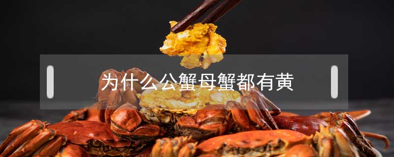 為什么公蟹母蟹都有黃