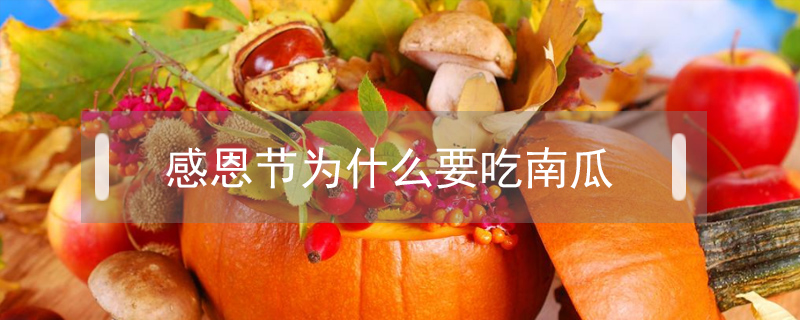 感恩節為什么要吃南瓜