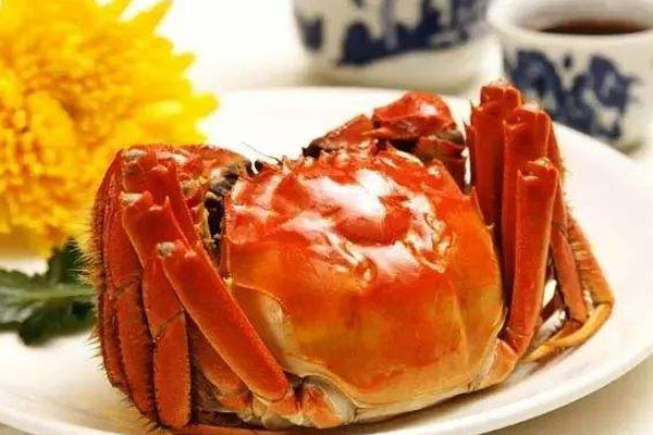 大閘蟹是河蟹嗎