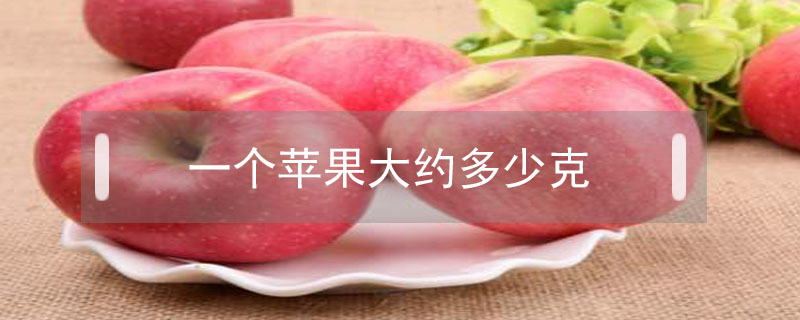 一個(gè)蘋(píng)果大約多少克