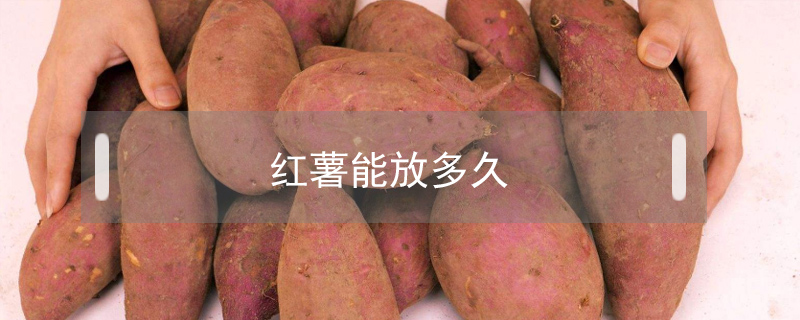 紅薯能放多久