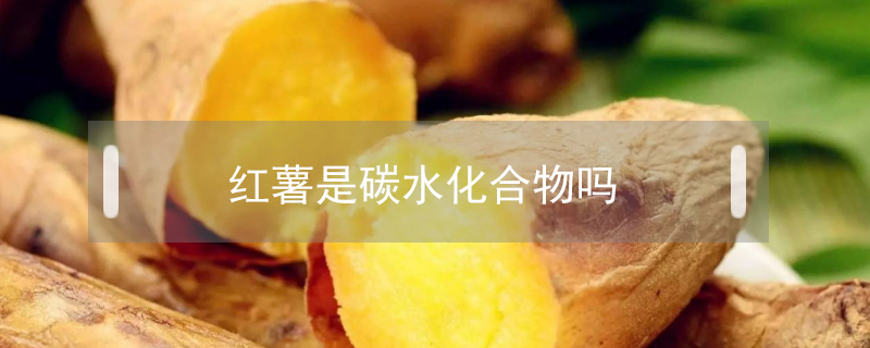 紅薯是碳水化合物嗎
