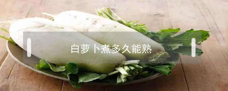 白蘿卜煮多久能熟