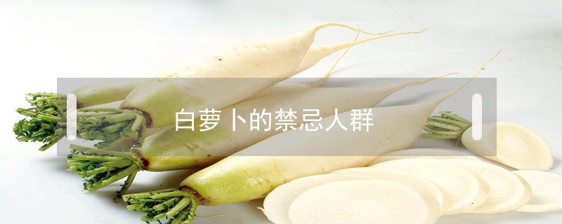 白蘿卜的禁忌人群