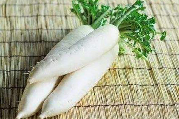 生吃白蘿卜的禁忌