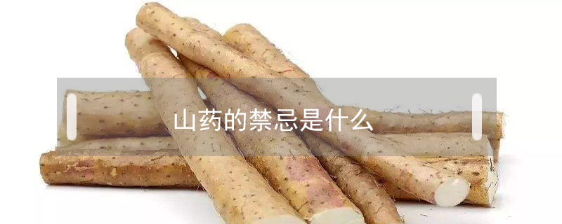 山藥的禁忌是什么