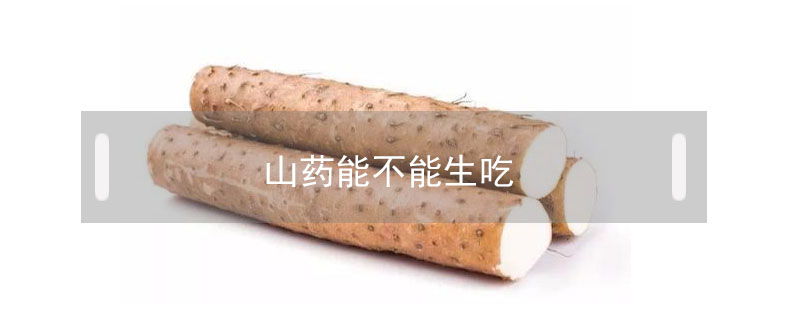 山藥能不能生吃