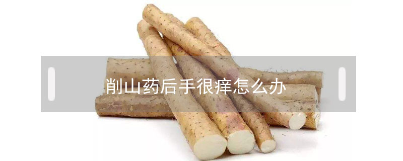 削山藥后手很癢怎么辦