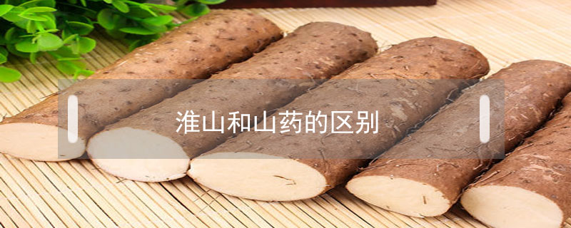 淮山和山藥的區(qū)別