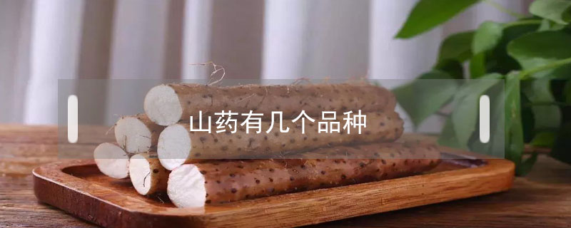 山藥有幾個品種