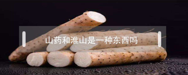 山藥和淮山是一種東西嗎