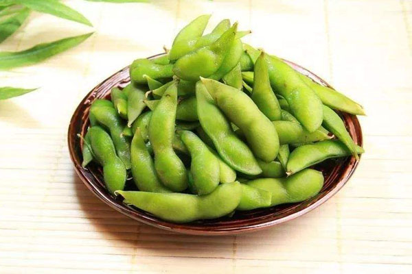 毛豆是黃豆嗎