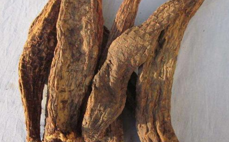 肉蓯蓉怎么吃