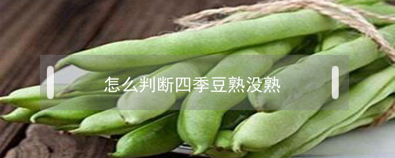 怎么判斷四季豆熟沒熟