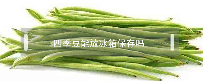 四季豆能放冰箱保存嗎