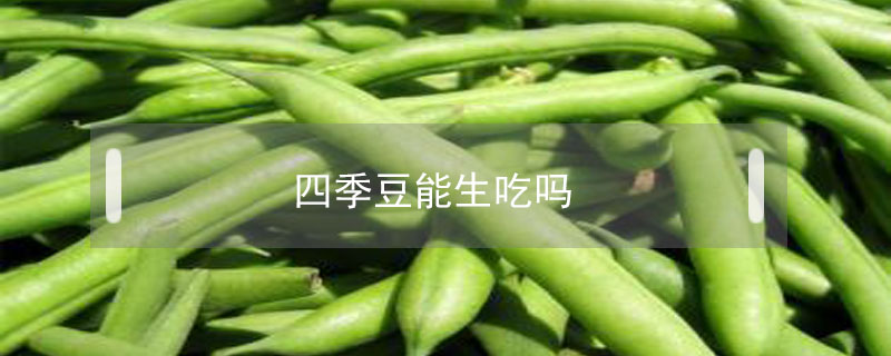 四季豆能生吃嗎