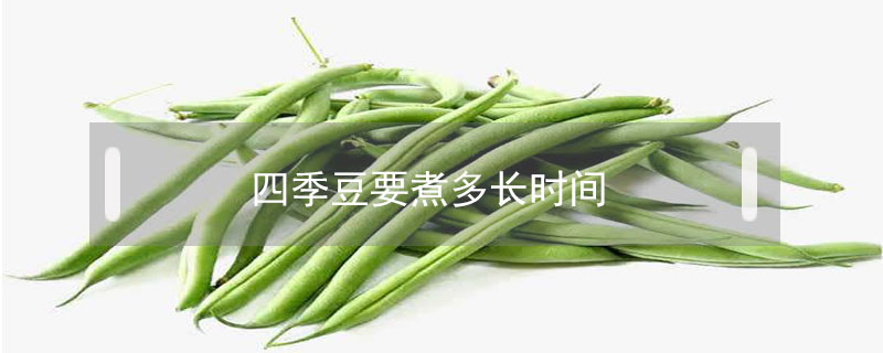 四季豆要煮多長(zhǎng)時(shí)間