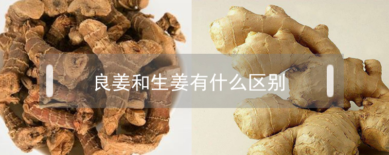 良姜和生姜有什么區別