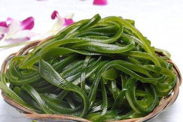 吃海帶能吃柿子嗎