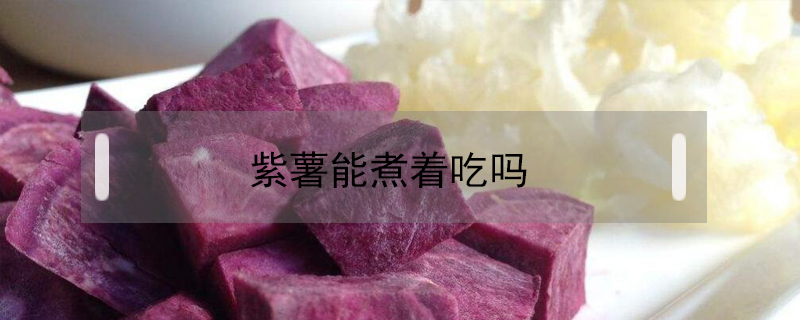 紫薯能煮著吃嗎