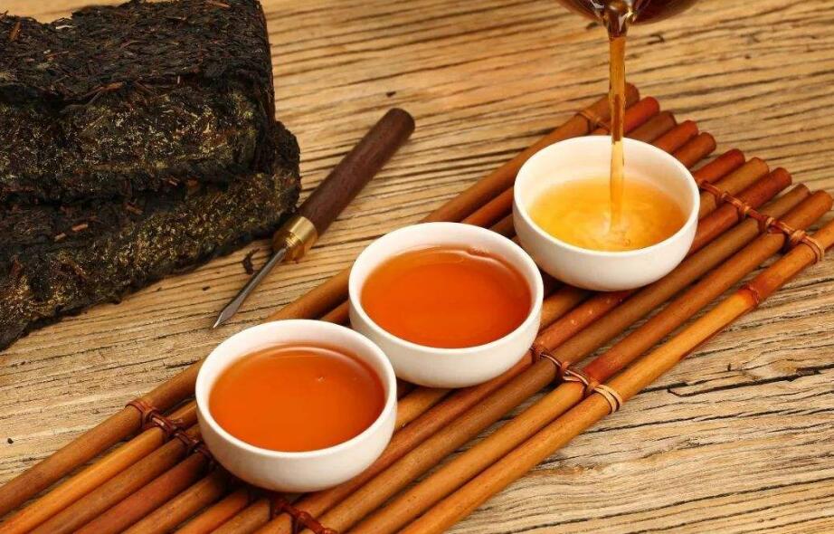 適合煮的茶葉有哪些