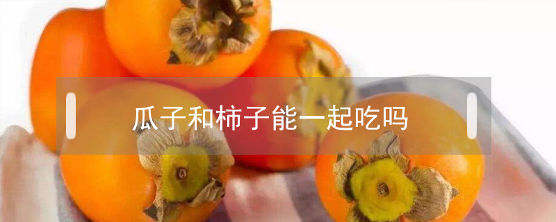 瓜子和柿子能一起吃嗎