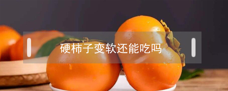 硬柿子變軟還能吃嗎