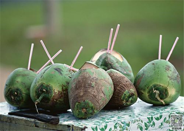 泰國(guó)椰子怎么打開(kāi)