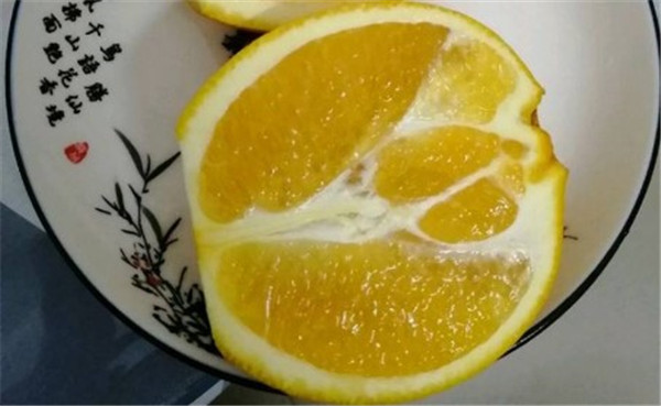 臍橙怎么挑選比較甜