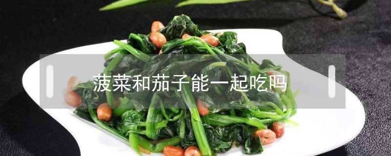 菠菜和茄子能一起吃嗎