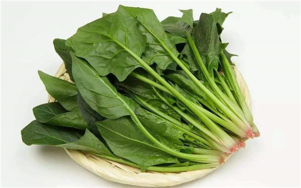 菠菜可以和雞肉一起吃嗎